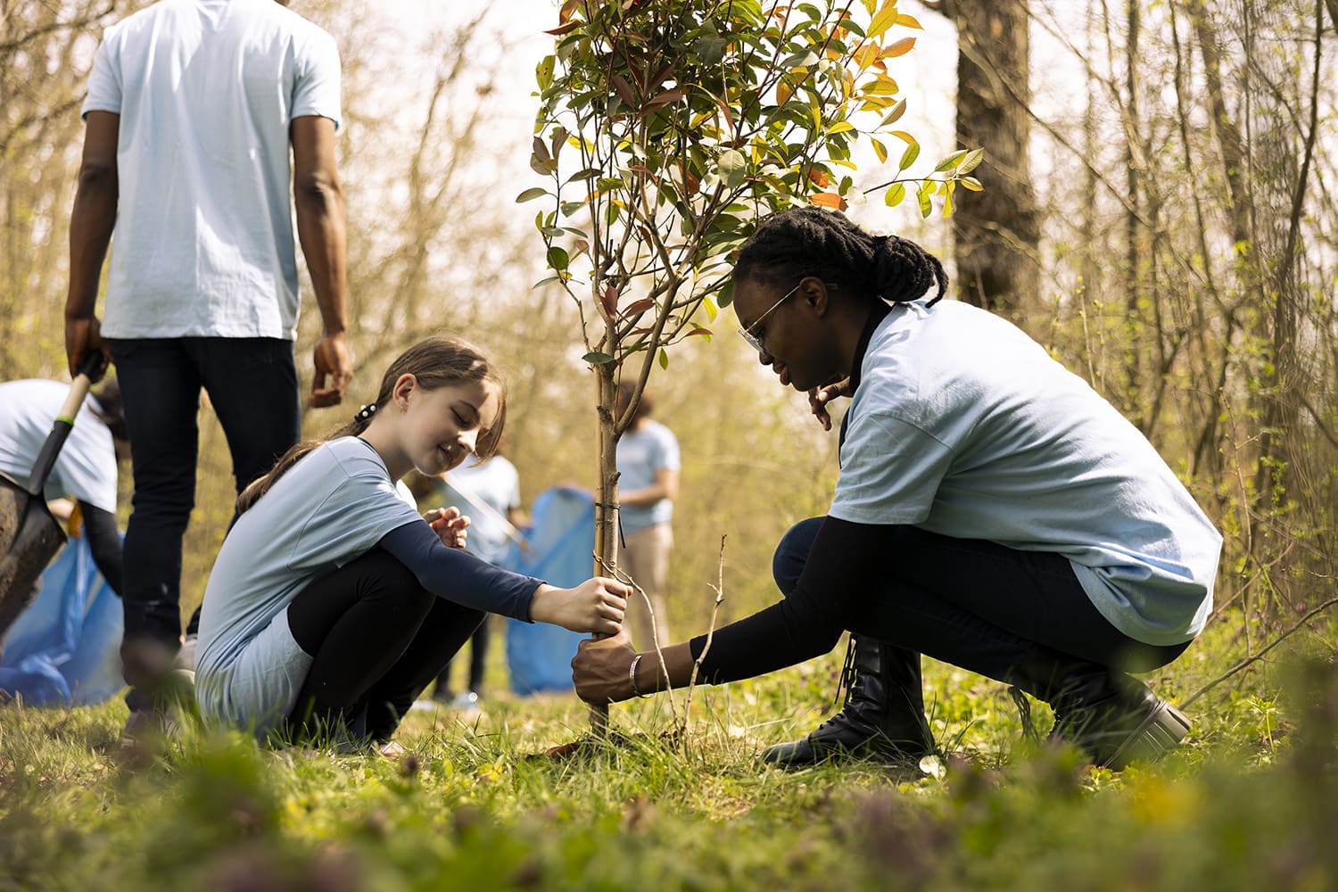 Two diverse activists working together to plant more trees and greenery People in a forest participate in tree planting. A young girl holds a tree while a man supports it. Others work in the background.