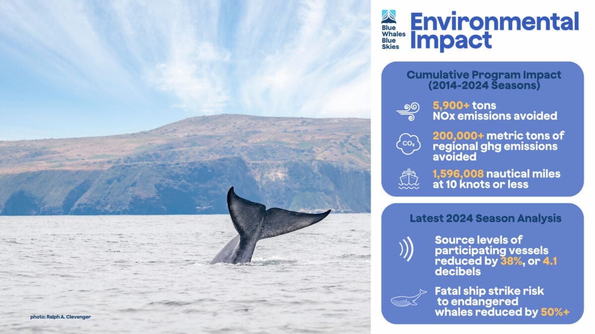 Photo of whale tail on ocean and infographic showing pollution reduction achieved in 2024 and over last 10 seasons.